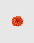 Fleur à cheveux flamenca orange