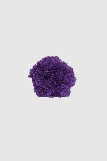 Fleur de coiffure œillet violet