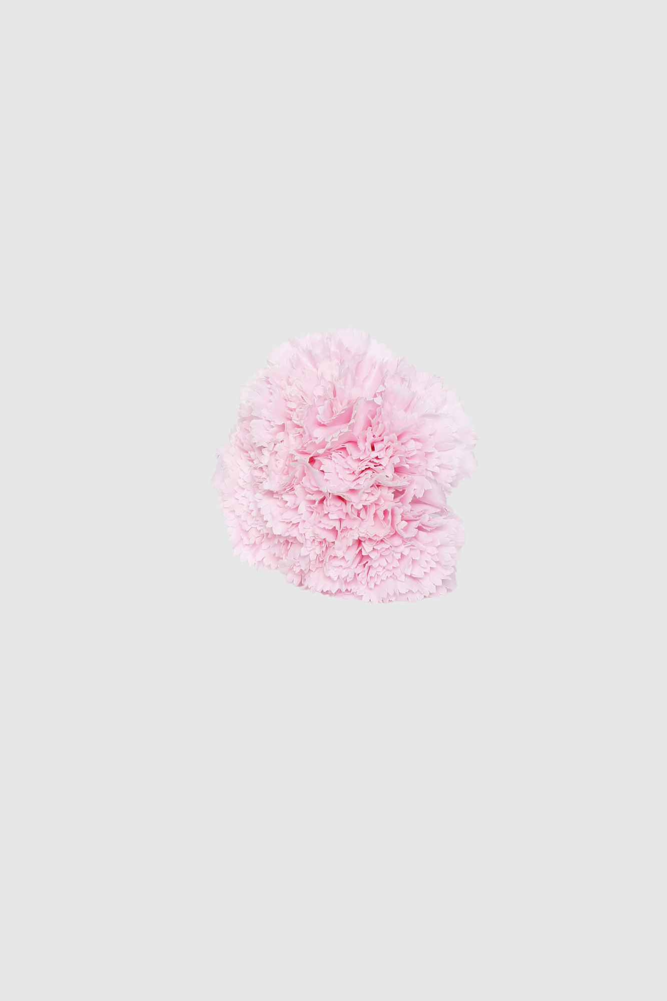 Fleur de coiffure œillet rose pâle