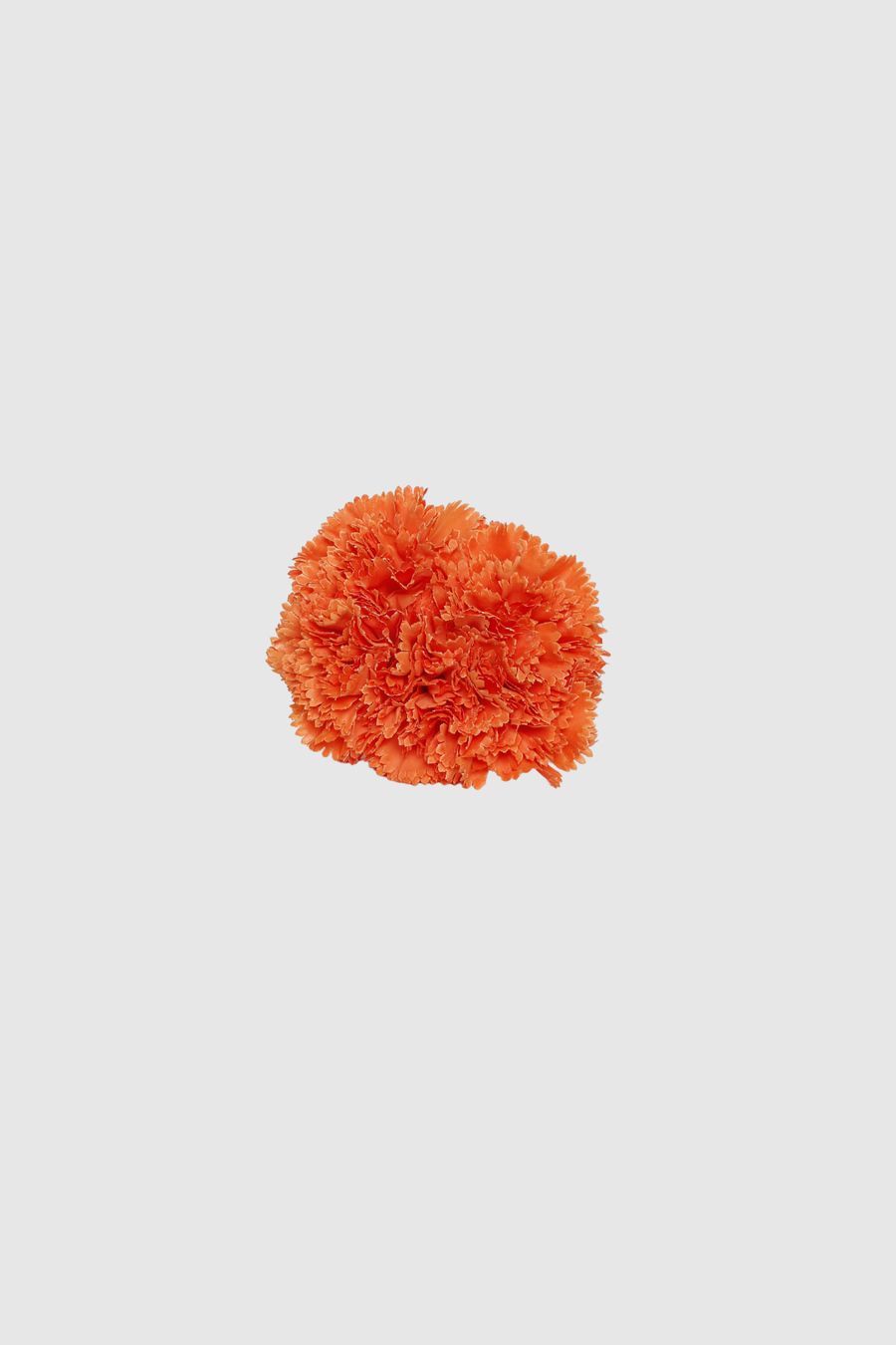 Fleur de coiffure œillet orange
