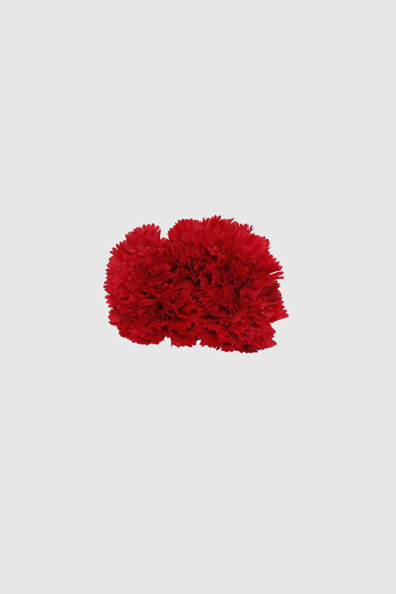 Fleur de coiffure œillet rouge vif