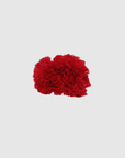 Fleur de coiffure œillet rouge vif