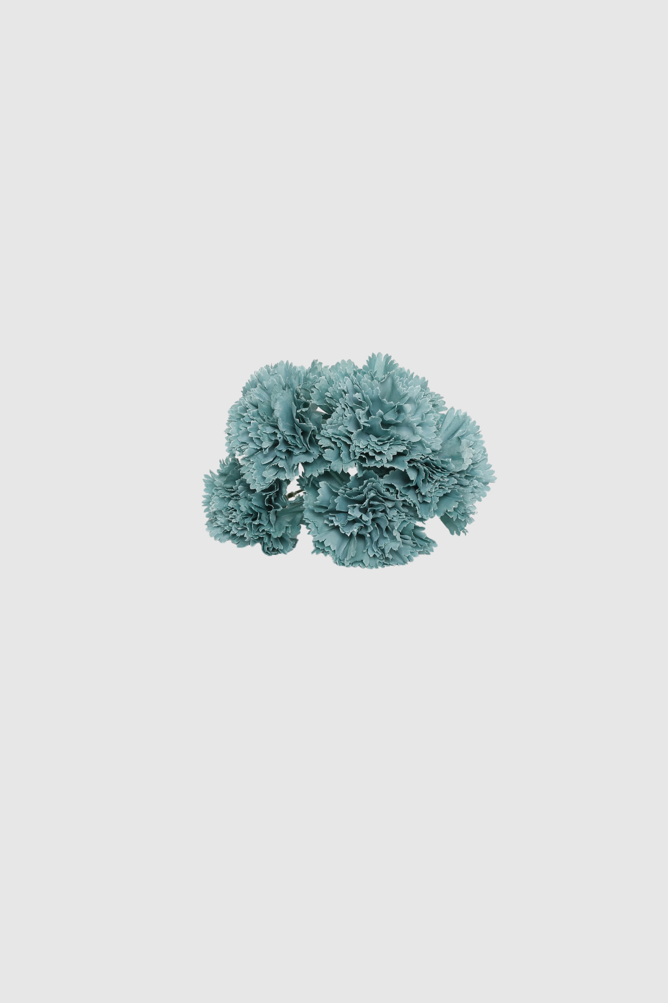 Fleur de coiffure œillet vert d’eau