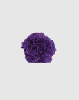 Fleur de coiffure œillet violet