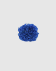 Fleur de coiffure œillet bleu roi