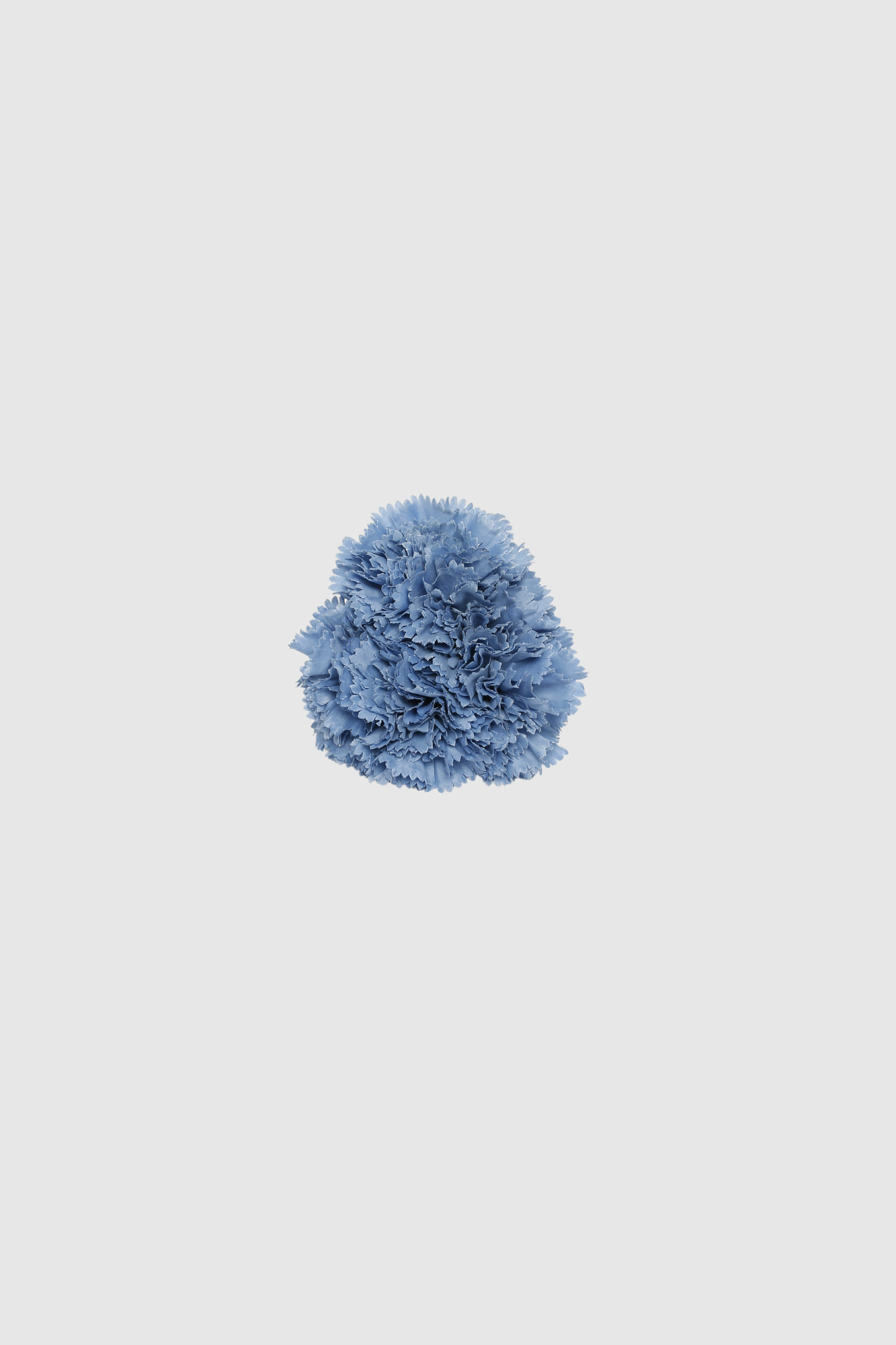 Fleur de coiffure œillet bleu clair