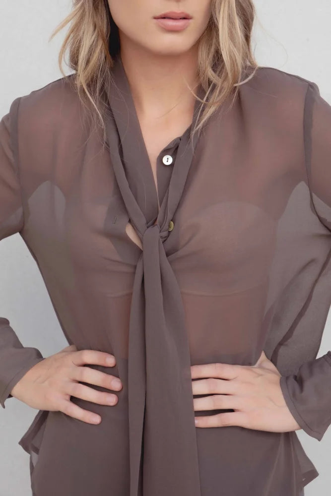 Chemise fluide marron transparente à col lavallière, blouse à manches longues élégante